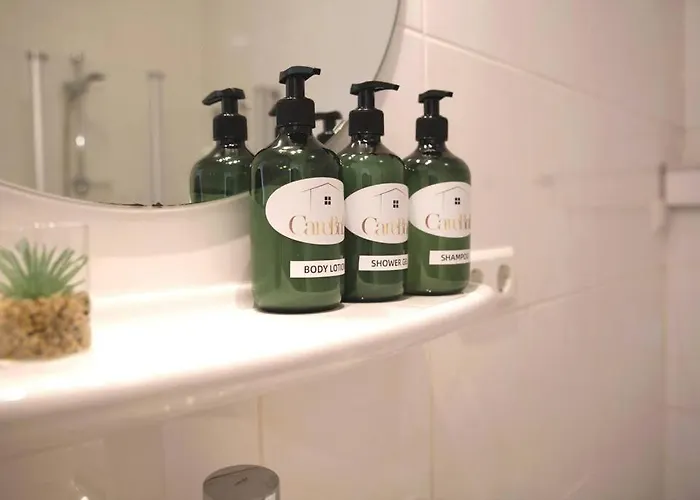 Apartment Charming Penthouse In The Center *